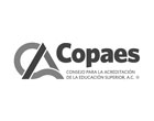 COPAES